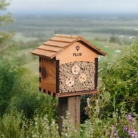Salvare le api: prima “Bee house” in via Mascagni a Montecatini