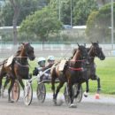 Ippodromo Sesana: sabato 19 ottobre corse pomeridiane e tante iniziative per bambini e famiglie