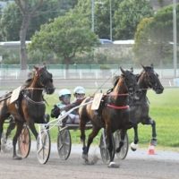 Ippodromo Sesana: sabato 19 ottobre corse pomeridiane e tante iniziative per bambini e famiglie